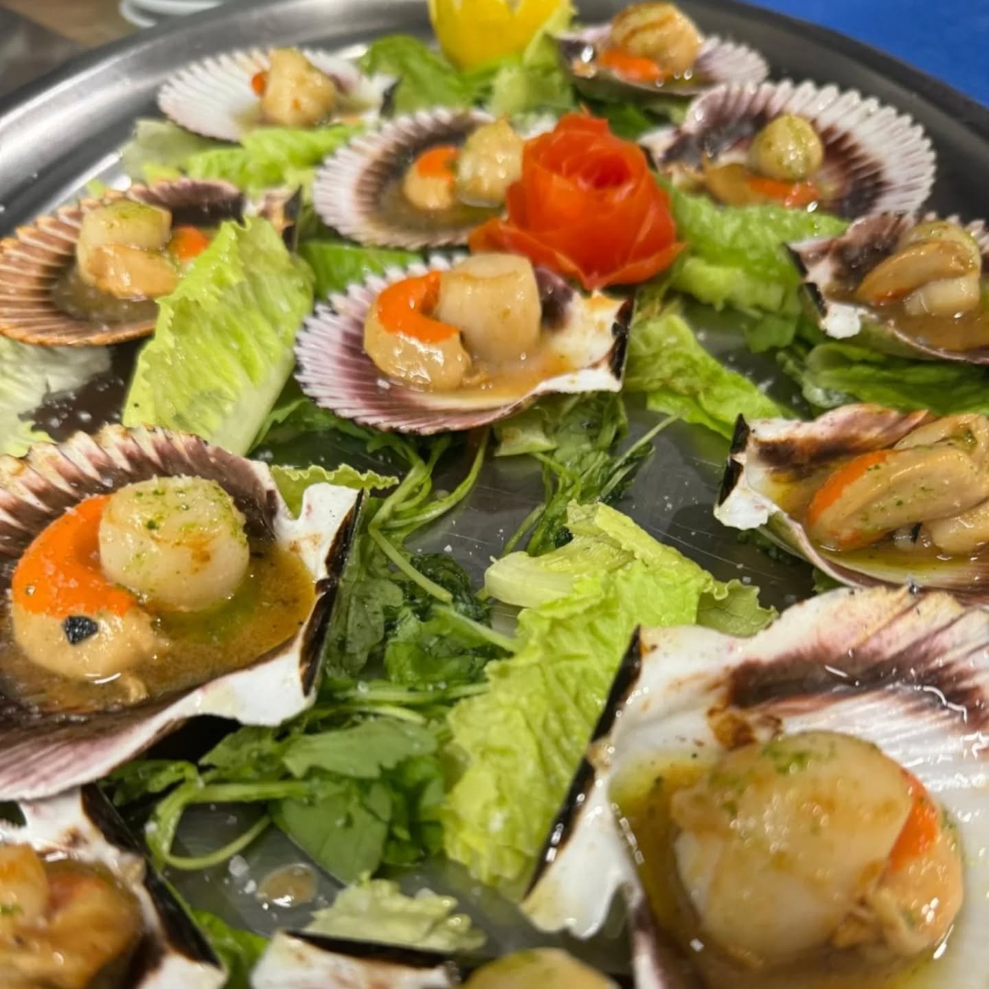 comida profesional